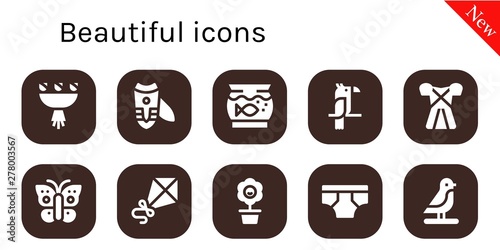 beautiful icon set