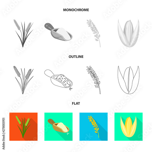 Vector design of crop and ecological symbol. Set of crop and cooking vector icon for stock.