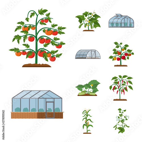 Vector illustration of greenhouse and plant symbol. Collection of greenhouse and garden vector icon for stock.