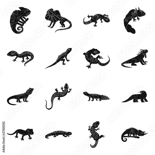 Vector design of zoo and environment symbol. Set of zoo and reptile stock symbol for web.
