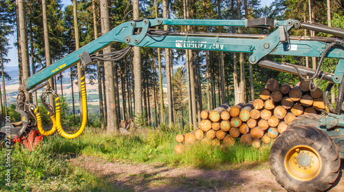 Waldarbeit
