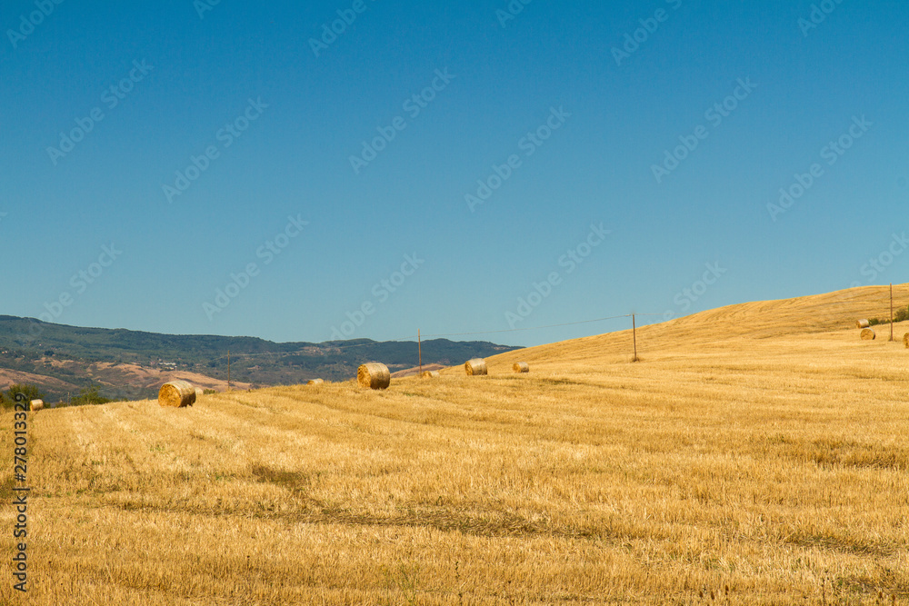 wonderful wheat field with hay bales in tuscany italy