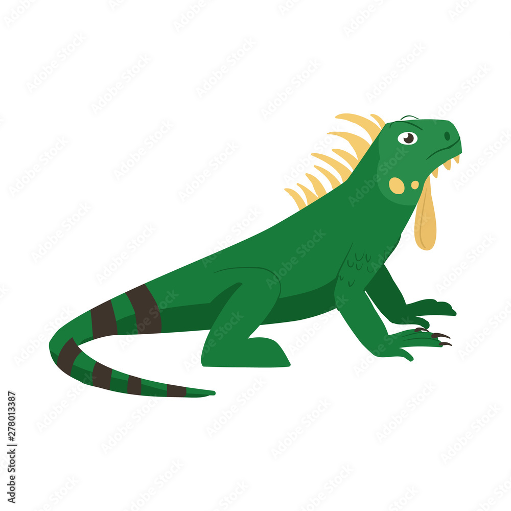 Isolated object of iguana and lizard icon. Set of iguana and colorful vector icon for stock. Isolated object of iguana and lizard icon. Set of iguana and colorful vector icon for stock.
