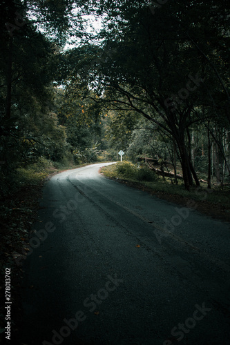 Roads and natural forests in the rainy season