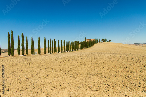 Fototapeta Naklejka Na Ścianę i Meble -  wonderful panorama of Tuscan countryside with blue sky Italy