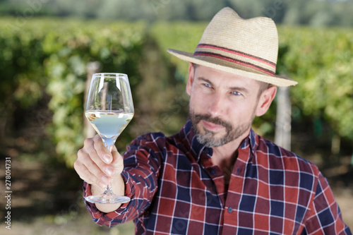 man inspecting wine in glass in vineyard photo
