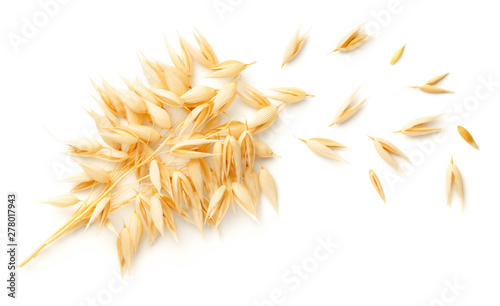 Oat Plants Bunch Isolated On White Background