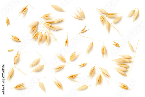 Oat Plants Isolated On White Background