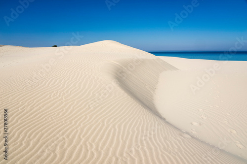 Fototapeta Naklejka Na Ścianę i Meble -  white dunes of IsArenas and blue sea in Sardinia
