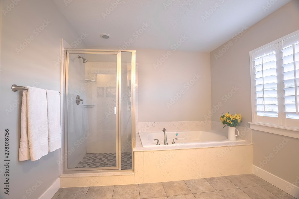 Light Gray Wall Stock Photo, Bathtub Inside Shower Stall