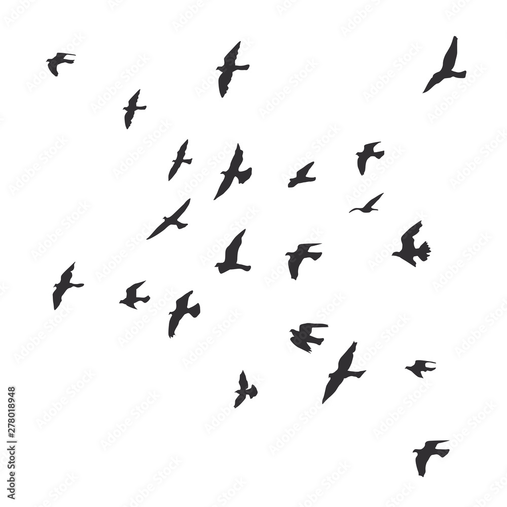 Naklejka sylwetka stada latających ptaków