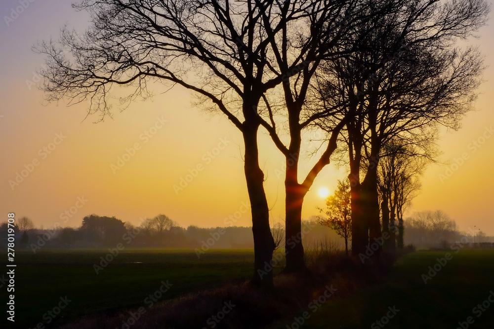 Scenic view of farm landscape at sunrise