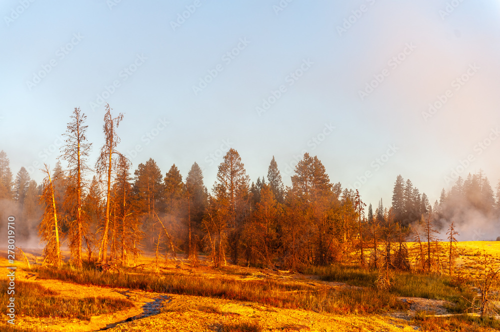 Early morning impression of the West Thumb Area in Yellowstone National Park.
