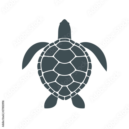 Sea turtle. Isolated turtle on white background. Reptile