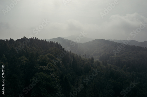 Wald Stimmung im Nebel  © romanb321