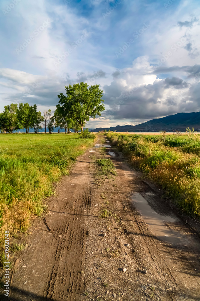 Dirt road on a grassy field with trees lake and mountain view against cloudy sky