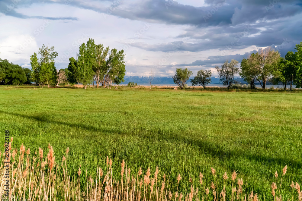 Ταπετσαρία Nature scenery with grassy field trees lake and mountain view on a sunny day