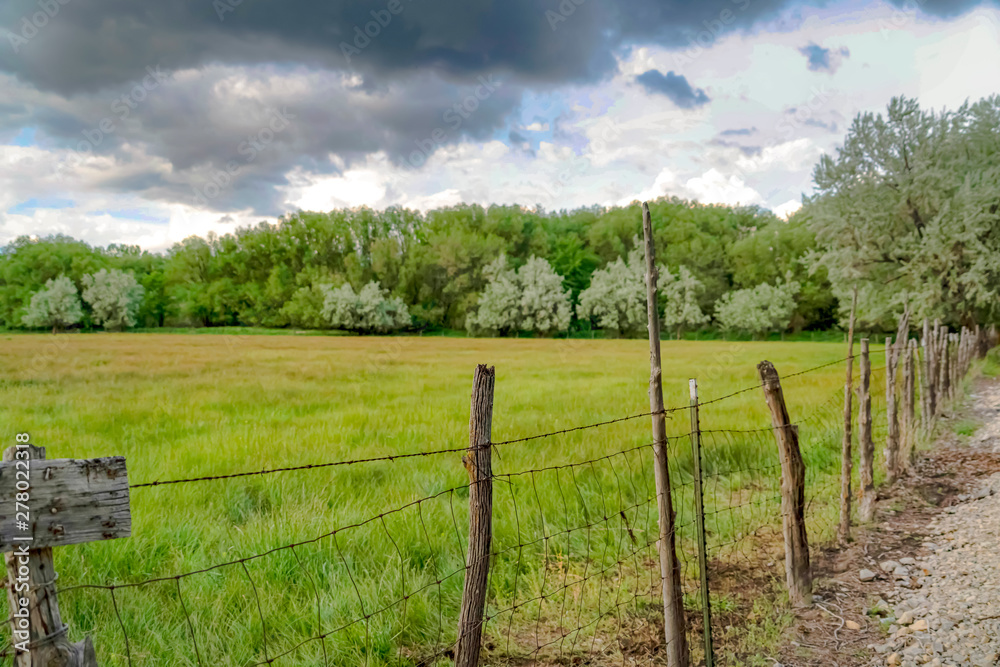 Grassy field and lush trees behind wire fence and wood posts lining a road