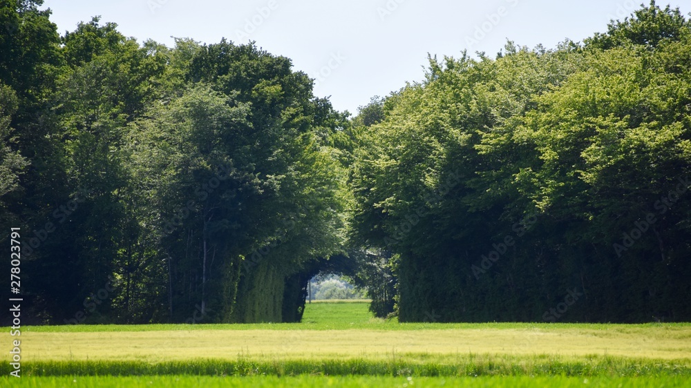 Green Arch in the country side