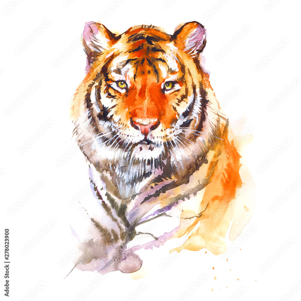 Watercolor tiger close up. Realistic painting on white background. Stock  Illustration | Adobe Stock