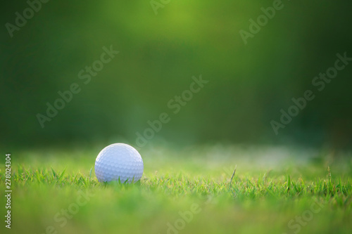 golf ball is on a green lawn in a beautiful golf course