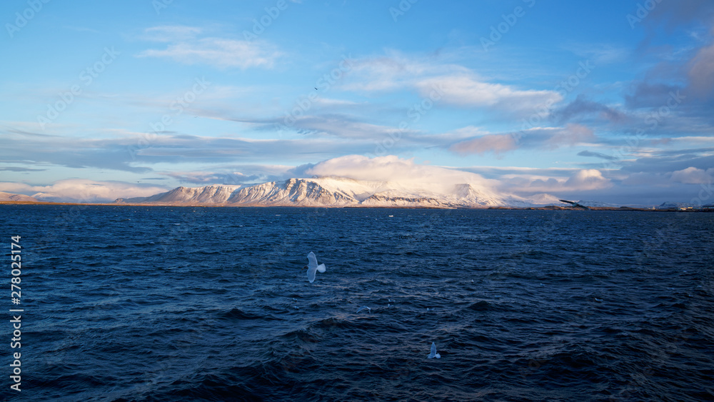 Snowcapped mountain sea view with seagull from Reykjavik harbour in Iceland