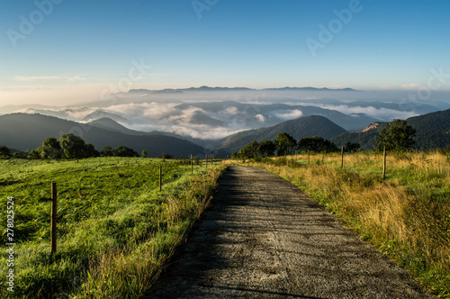 Fototapeta Naklejka Na Ścianę i Meble -  mountain road with fog view