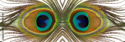 Beautiful exotic peacock feathers on white background. Close up