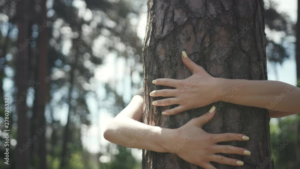 Young happy woman hiding behind the tall tree embracing a trunk with love. People love nature, save the environment, ecology concept.