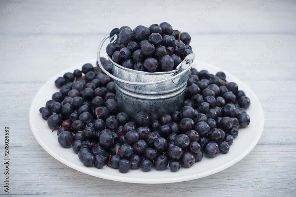 Decorative bucket with blueberry on plate on white wooden table background Decorative bucket with blueberry on plate on white wooden table background