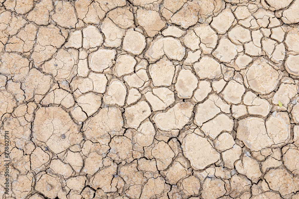 Brown dry soil or cracked ground texture background. Brown dry soil or cracked ground texture background.