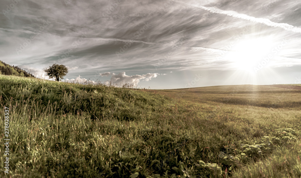 Fototapeta premium Beskid Niski