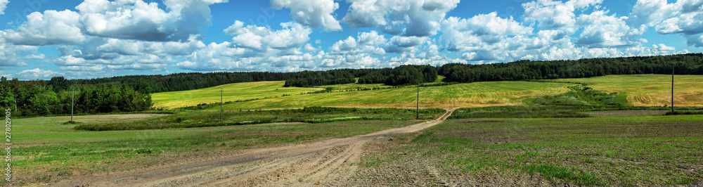 panorama of the summer landscape from the field, forest on the edge and clouds