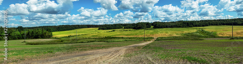panorama of the summer landscape from the field  forest on the edge and clouds