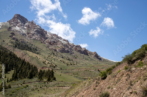 Mountain range overgrown with spruce forest. snowy peaks and green pastures. Kyrgyzstan Travel.