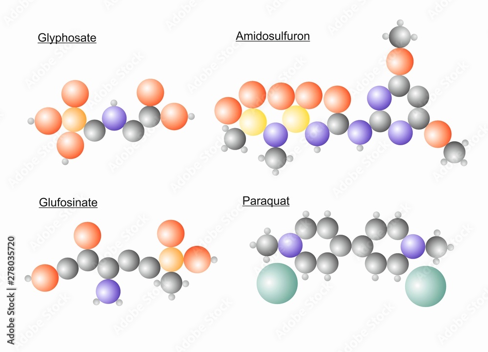 The molecule structure of different herbicide molecules.