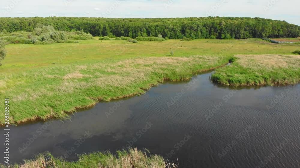 A landscape of little country pond and bright green field A landscape of little country pond and bright green field
