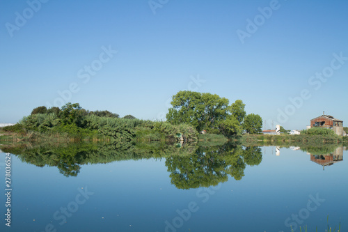 lago in estate con riflesso photo