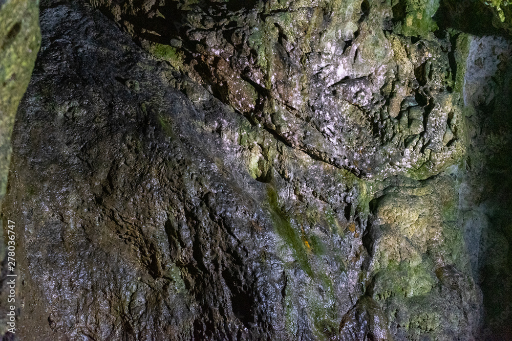 Inside Dambovicioara cave, Piatra Craiului mountains, Piatra Craiului National ParkInside Dambovicioara cave, Piatra Craiului mountains, Piatra Craiului National Park Inside Dambovicioara cave, Piatra Craiului mountains, Piatra Craiului National ParkInside Dambovicioara cave, Piatra Craiului mountains, Piatra Craiului National Park