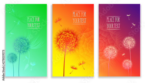 Dandelions set summer backgrounds art design web header template. Abstract collage flowers and flying seeds. Floral advertising collection of templates summer botanical prints. Flyer design template
