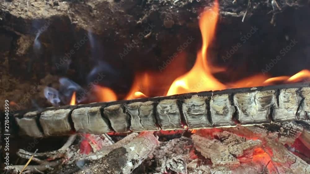 Fire in the black earth Fire in the black earth