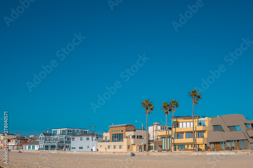 Obraz na płótnie Good life concept. Houses and palms near beach on sunny day with blue sky. Copy space, place for text w salonie