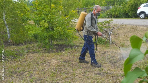 Pest Control. The man sprays the grass against insect pests. Spraying of insecticides at lawn