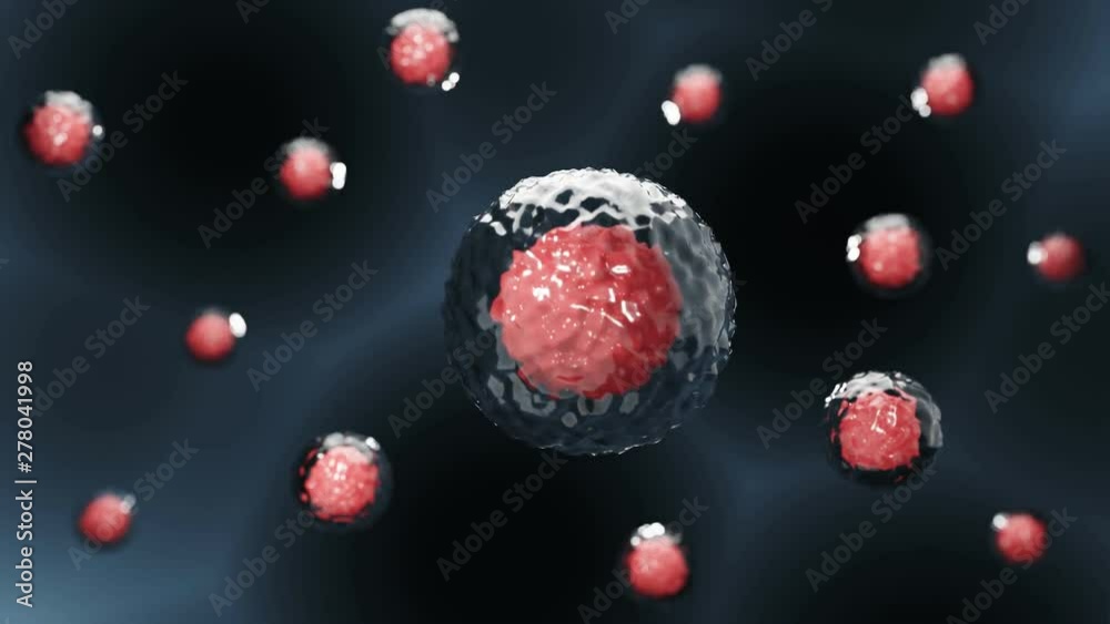 Stem Cell, nucleus, Cell membrane, floating 3d render