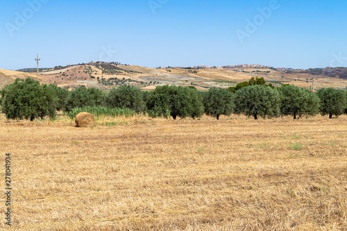 Beautiful Sicilian Landscape after the Harvest, Mazzarino, Caltanissetta, Sicily, Italy, Europe