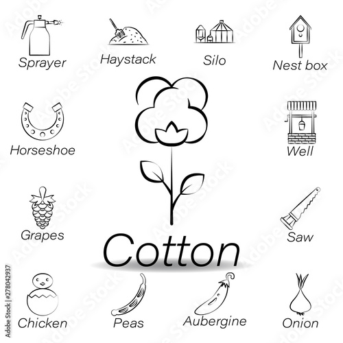 cotton hand draw icon. Element of farming illustration icons. Signs and symbols can be used for web, logo, mobile app, UI, UX
