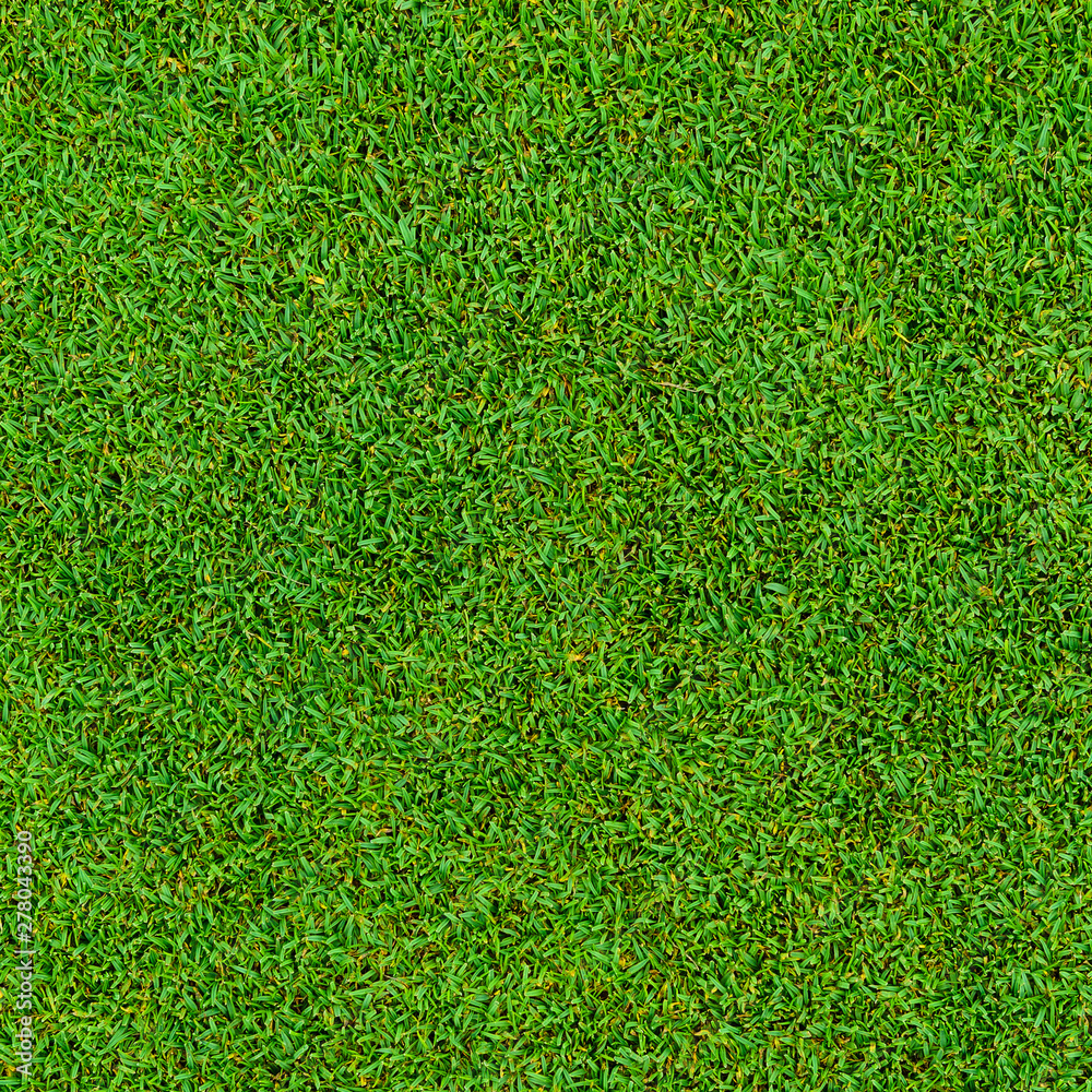 Obraz premium Background and texture of Beautiful green grass pattern from golf course