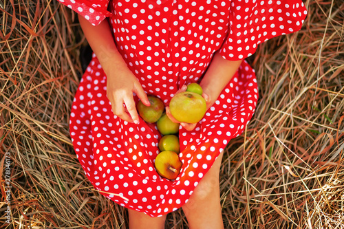 Fototapeta LIttle girl in polka dot red dress and straw hat sitting on a haystack and holding apples