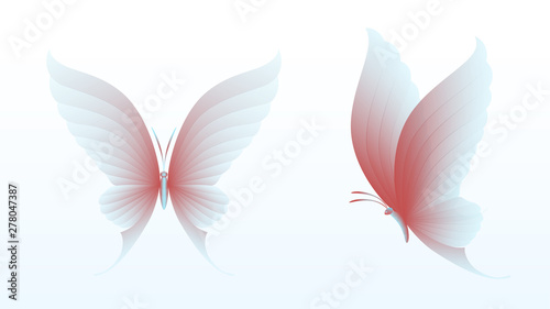 Set of butterflies with colorful wings. View from above and side , on a white  background .Vector illustration.