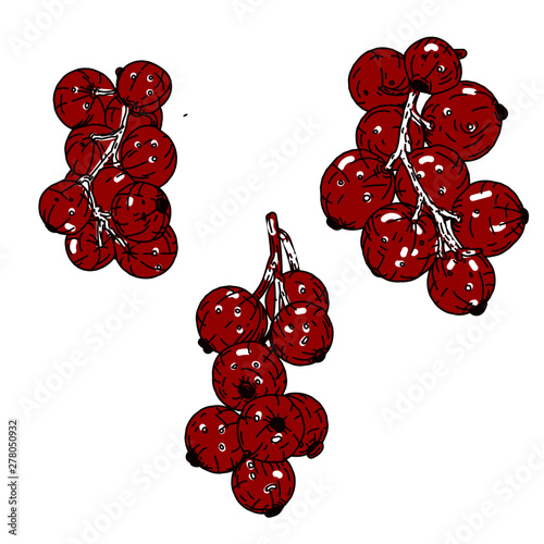 johannisbeere rot beeren waldbeeren